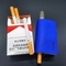 Les accessoires de tabagisme de tuyau de tabac en métal n'ont placé aucun Ash No Smelly